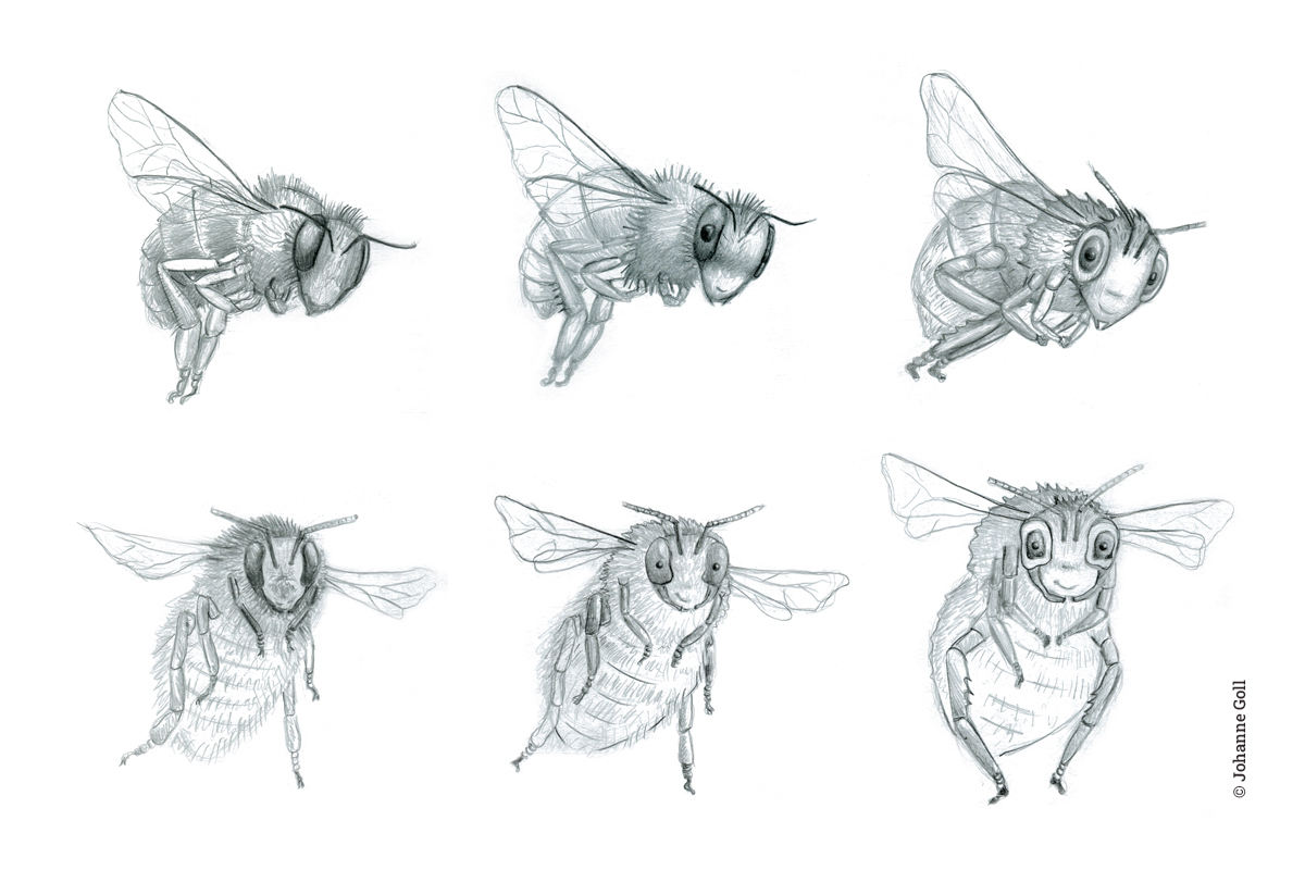 Illustrations personnages, abeille et bourdon, évolution au crayon, par Johanne Goll, graphiste freelance