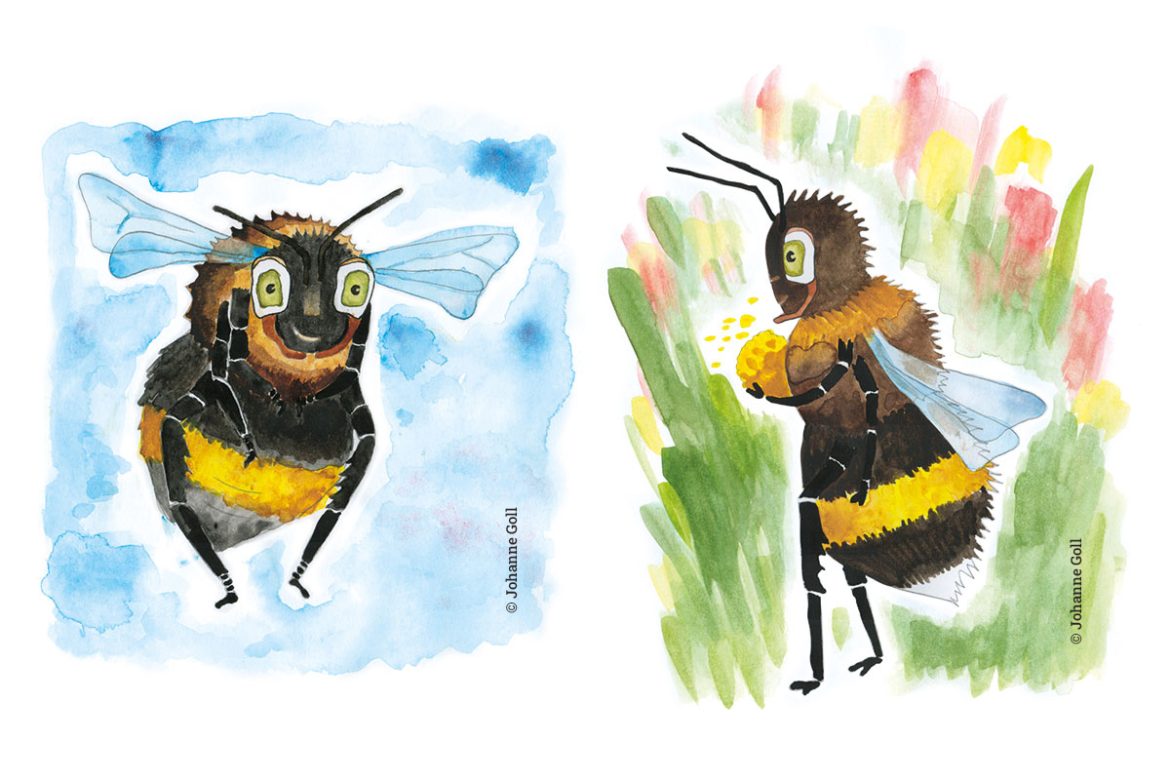 Illustration personnage, le bourdon, mise en couleurs à l'aquarelle, par Johanne Goll, graphiste freelance